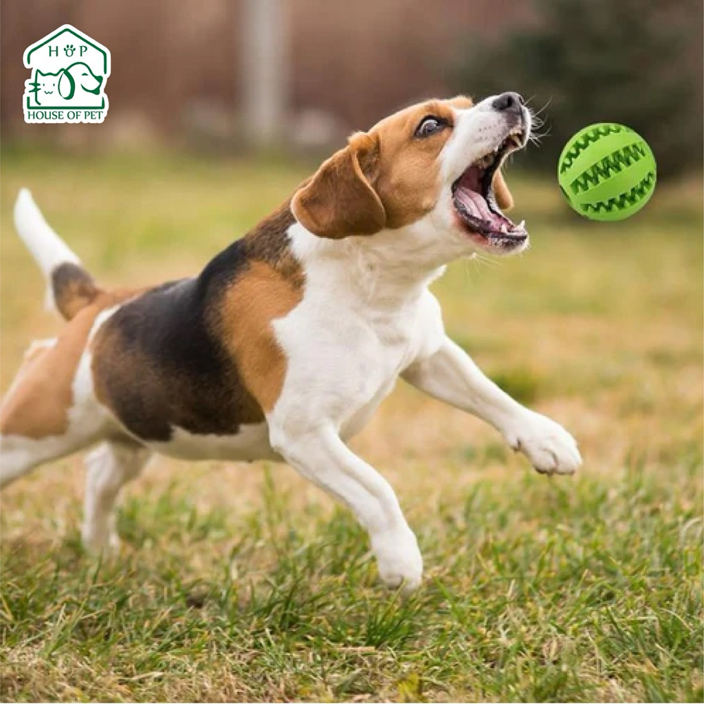 ของเล่นสุนัข ของเล่นขัดฟัน ลูกบอลขัดฟัน สามารถใส่อาหารหรือขนมแบบแท่งได้ - รูปที่ 2