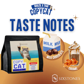 Copycat(บราซิล+ไทย)เมล็ดกาแฟคั่วบราซิลไทย ไม่เปรี้ยว ลาว โบลาเวน คั่วกลาง คั่วเข้ม ซิกซ์สโตนส์ sixstones