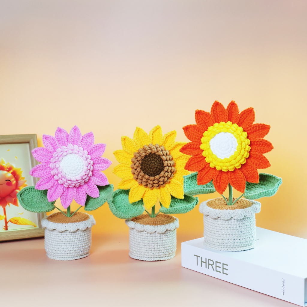 รูปภาพ 8