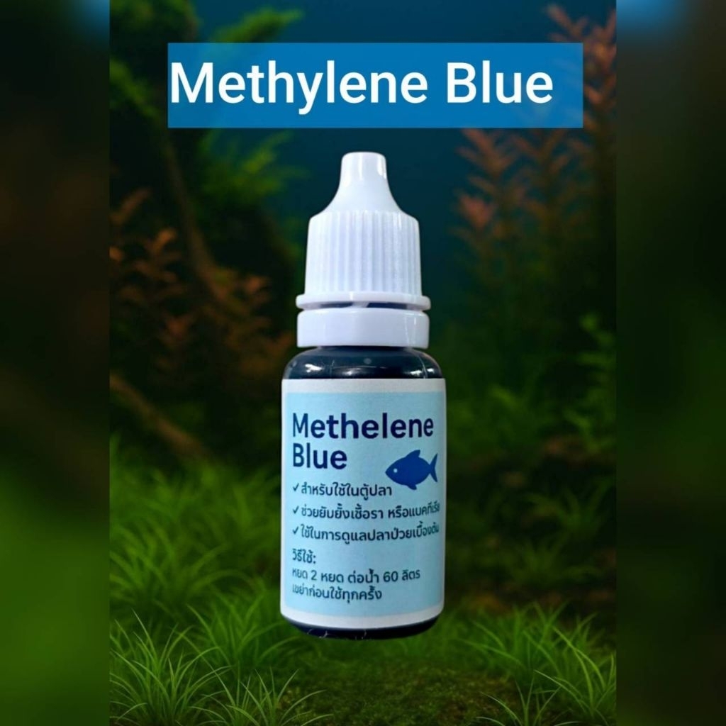 เมทิลีน บูล (Methylene Blue) สําหรับตู้ปลาสวยงามลดคลามเคลียดอ่างปลาตู้ปลา