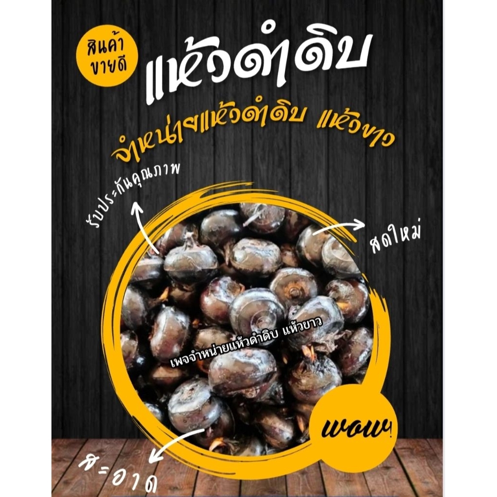 แห้วสด แห้วดำดิบ (ไม่ปอกเปลือก) 3 กิโลกรัม หรือ 3,000 กรัม