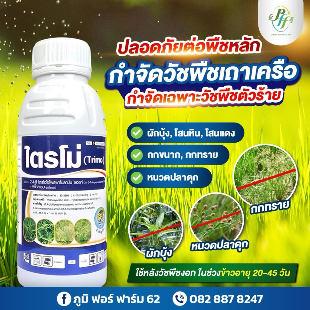 ไตรโม่ 2,4D+พิคลอแรม ขนาด 500 ซีซี หัวเสือ กำจัด หญ้าใบกว้าง แห้วหมู กก ในข้าว อ้อย ข้าวโพด - รูปที่ 3