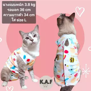 (HP01)เสื้อทำหมันสัตว์เลี้ยง (พร้อมส่งจากไทย!!)เสื้อแต่ละลายขนาดไม่เท่ากัน อ่านsizeก่อนสั่ง!