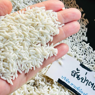 บัวจันทร์ ข้าวเหนียวสันป่าตอง 45 กิโลกรัม ตราบัวจันทร์ เกรดพรีเมี่ยม อร่อย สวย อ่อนนุ่ม ครอบครัวใหญ่