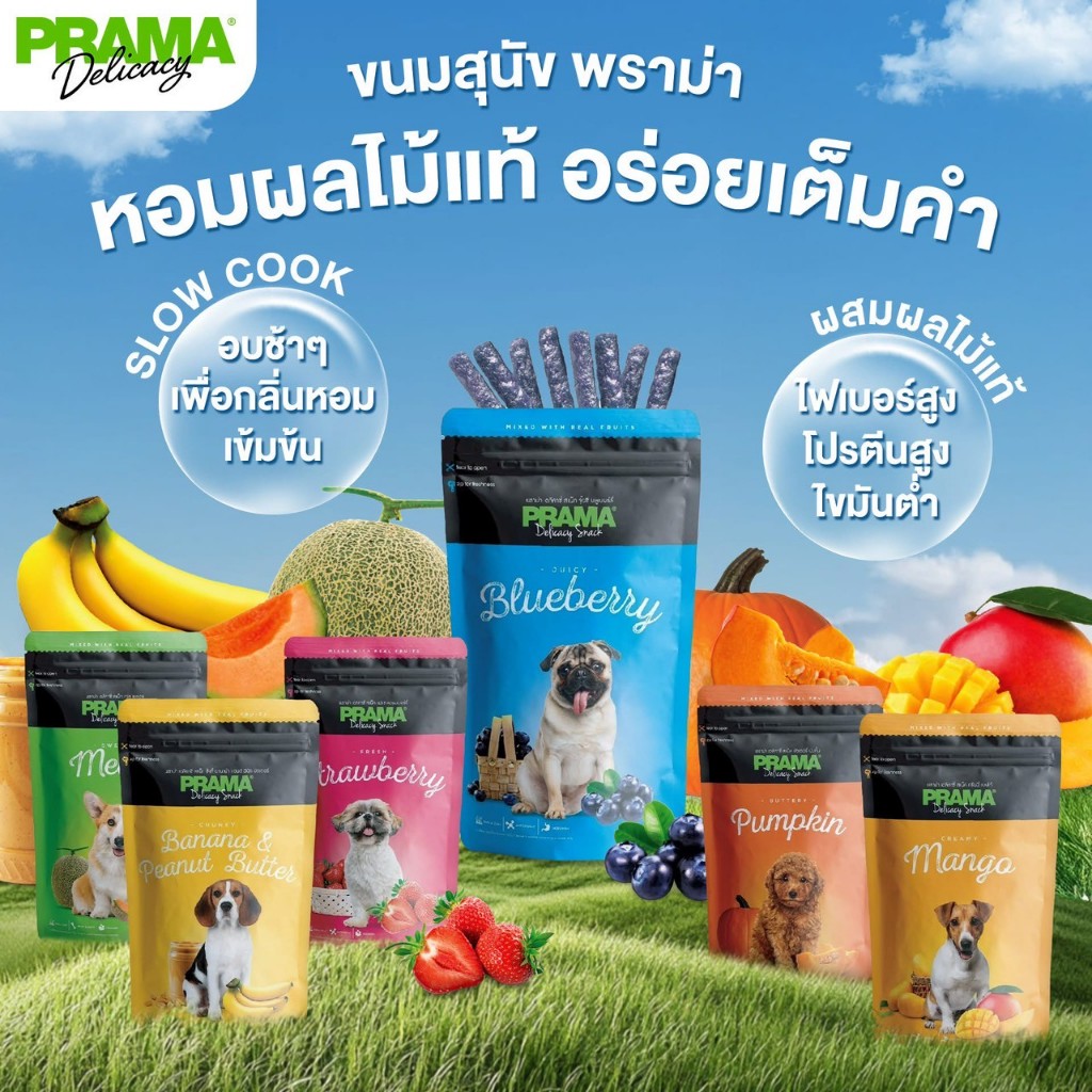 [ขนมสุนัขพราม่า สูตรผลไม้] PRAMA ขนมสุนัขเกรดพรีเมี่ยม ดีตอสุขภาพ ผสมเนื้อผลไม้แท้ ขนาด 70 กรัม