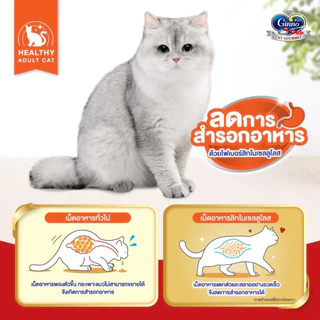 Ginno กินโนะดราย กินโนะอาหารแมว ชนิดเม็ด มีผงปลาคัตทสึโอะบูชิ เม็ดเล็กทานง่าย