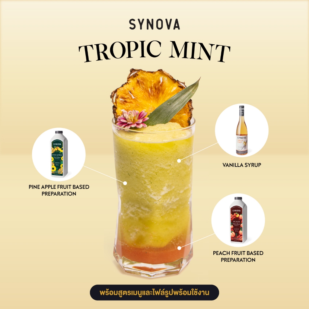 เซ็ตเมนูเครื่องดื่ม SYNOVA : ทรอปิก มินต์ Tropic Mint พร้อมภาพ และสูตรชงเครื่องดื่ม (Set)