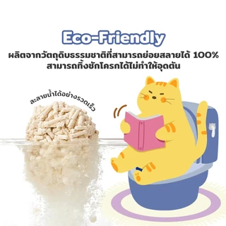 PetStern x Petcho ทรายแมวเต้าหู้ Cat Litter 40L. ผลิตจากกากถั่วเหลืองธรรมชาติ จับตัวเป็นก้อนเร็ว ทิ้งชักโครกได้