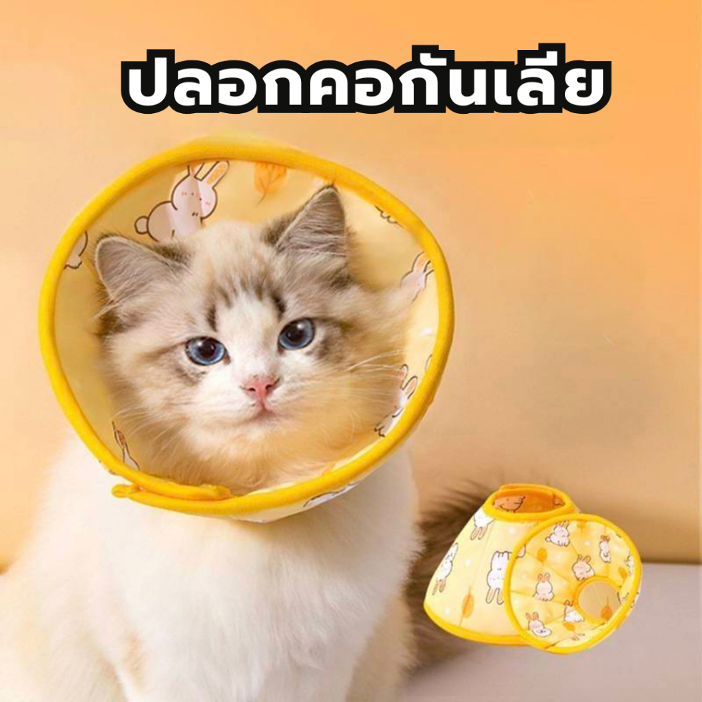 ปลอกคอกันเลียแมว คอลล่ากันเลีย ปลอกคอสัตว์เลี้ยง ลำโพงกันเลีย คอลล่าสุนัข คอลล่า