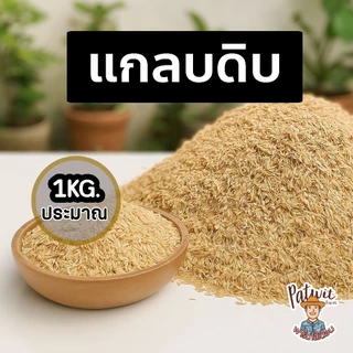 (2ถุง50)(ส่งฟรีทักแชท)แกลบดิบ คุณภาพดี ถุงใหญ่ ขนาดประมาณ 1กิโลกรัม(น้ำหนักขึ้นอยู่กับความชื้น)