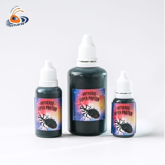 น้ำหวานโปรตีนสำหรับมด สูตรเร่งไข่ บำรุงตัวอ่อน Antverse Super Protein - รูปที่ 7