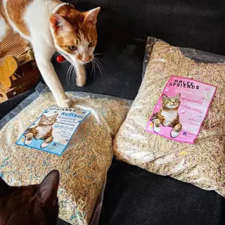 ทรายแมวเต้าหู้ ผสมเม็ดบีดส์ ดับกลิ่นแบบย่อยสลายได้ ขนาด10ลิตร