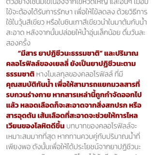 ุต้นเยลลี่ (cincau) กิ่งชำ ต้นทรงพุ่ม (9ส.ค.2569)พร้อมส่ง สอบถามได้ครับ