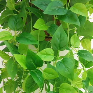 ประดิษฐ์แขวนผนังพืชสีเขียวใบดอกไม้ตกแต่งบอนไซบ้านโรงแรมพรรค