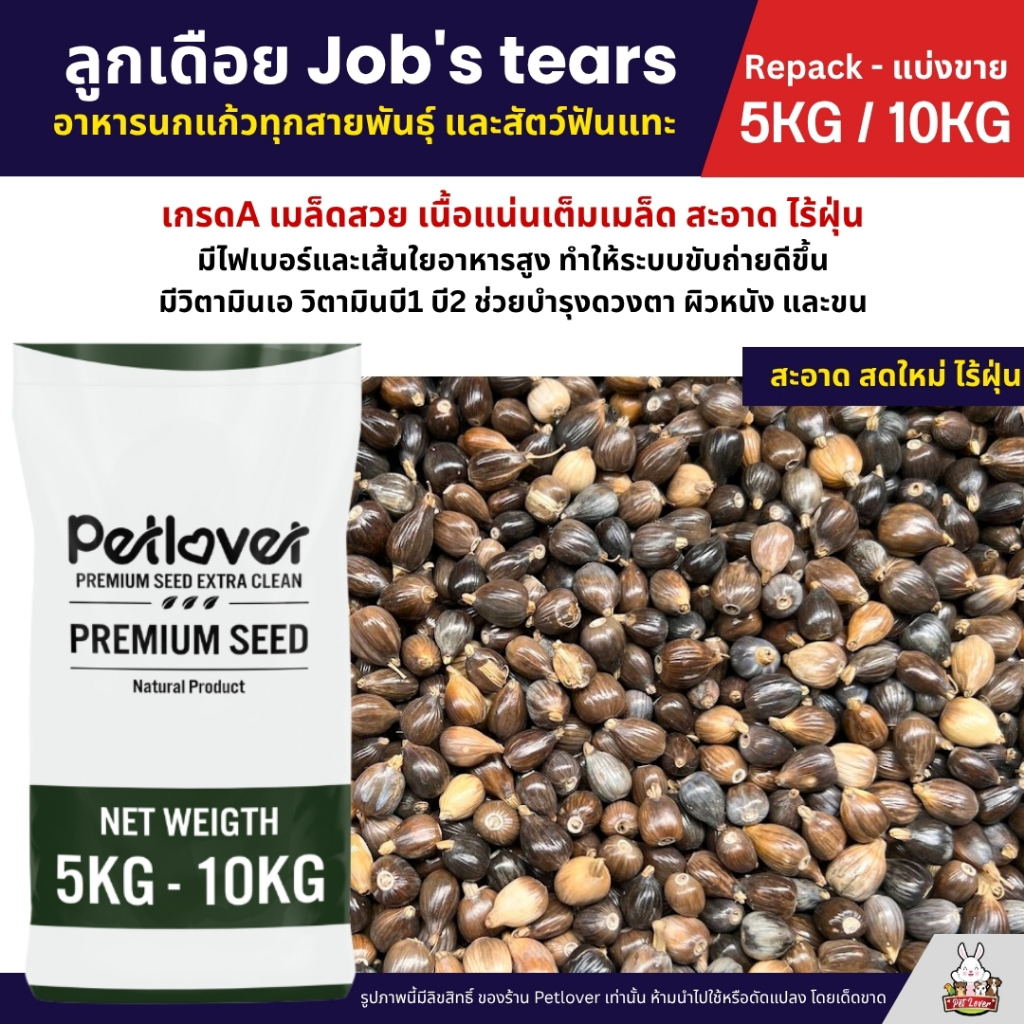 (5KG/10KG) ลูกเดือย Job's tears เกรดA นำเข้า อาหารนกแก้ว หนูแฮมสเตอร์ และสัตว์ฟันแทะ