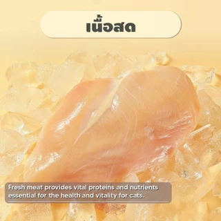 ขนมฟรีซดราย ไก่ฟรีซดราย แซลมอนฟรีซดราย ขนมแมว ขนมหมา Freeze Dried for Cat & Dog
