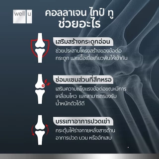 well u Advanced Collagen Type II Plus 6 In 1 แอดวานซ์ คอลลาเจน ไทป์ ทู พลัส ซิก อิน วัน