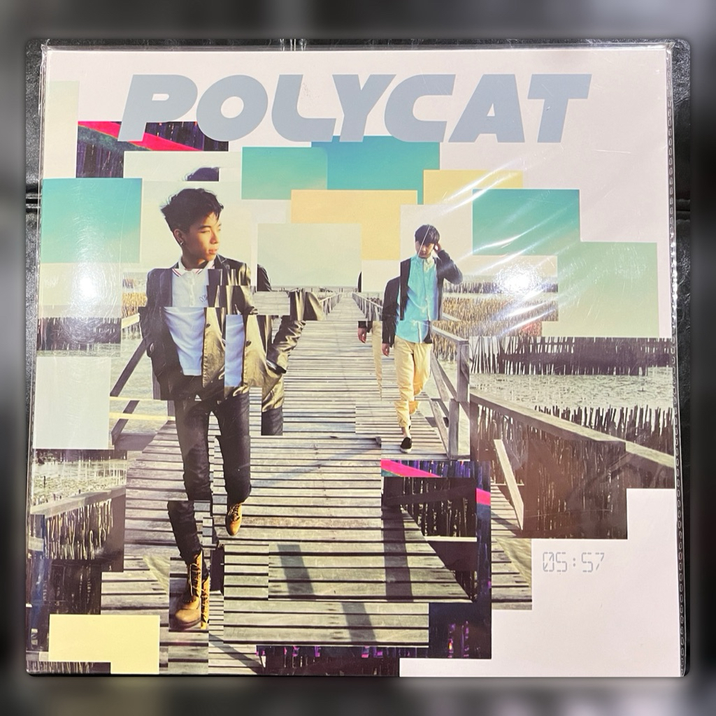 แผ่นเสียง Vinyl Polycat 1st Album 05:57