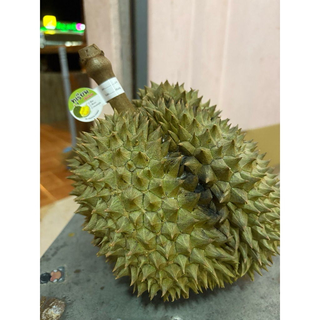 ทุเรียนหมอนทองจากสวนชุมพรจากสวนปลอดภัยคัดจากสวนน้ำหนัก2-2.5กก.นอกฤดูกาล