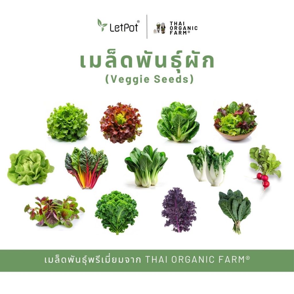 Premium Quality Seeds เมล็ดพันธุ์ผัก Veggie Seeds พรีเมี่ยม THAI ORGANIC FARM®