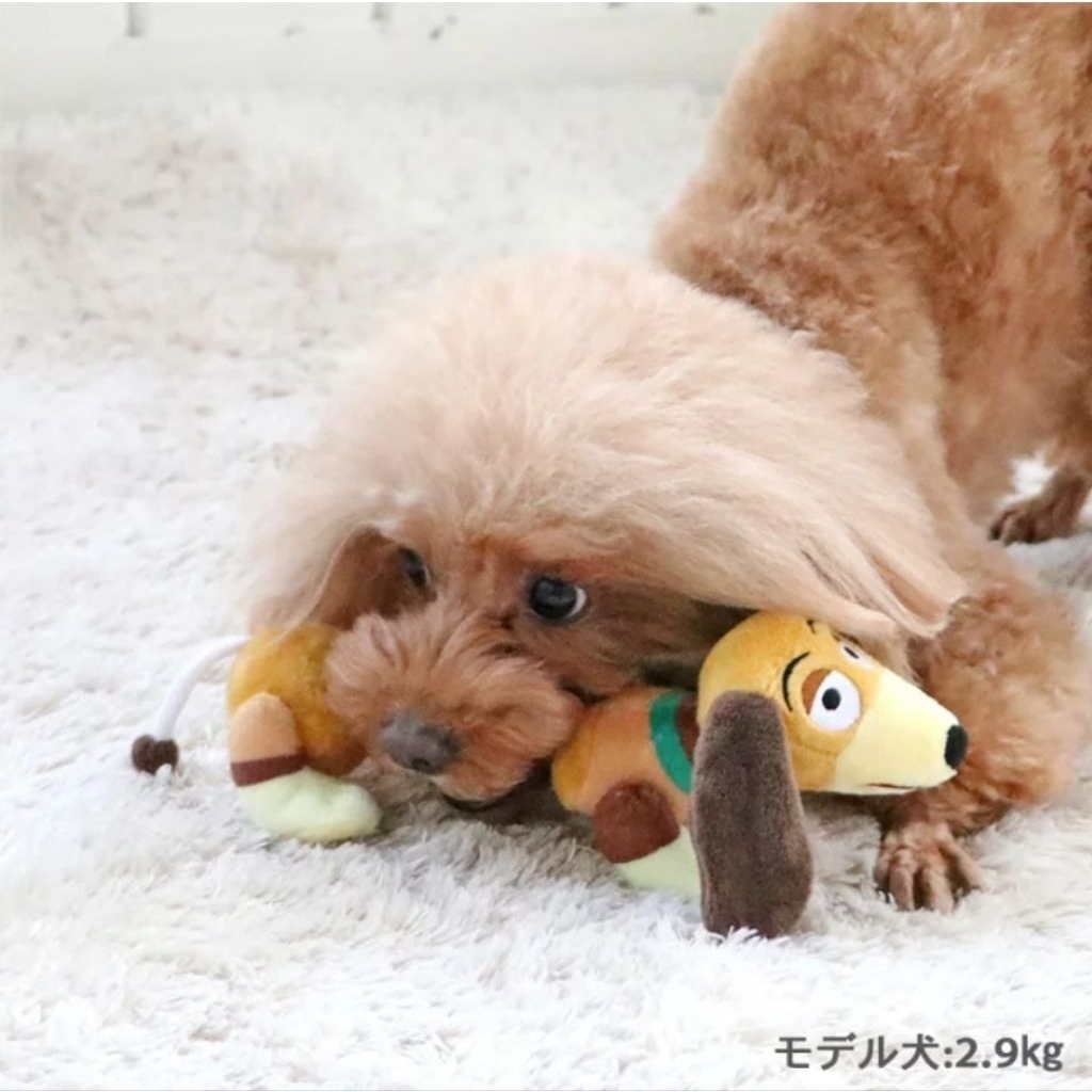 พร้อมส่ง‼️Dog toy จาก Pet paradise ญี่ปุ่น