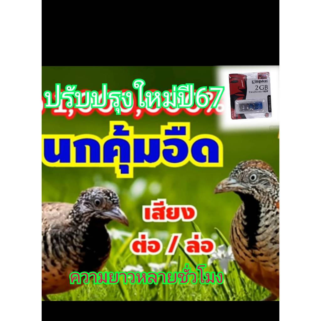 เสียงนกคุ่มต่อUSBเสียงใสพร้อมใช้งาน - รูปที่ 3