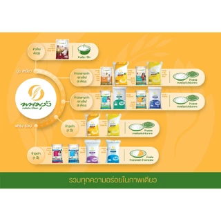 [ส่งฟรีเฉพาะกรุงเทพฯ] พนมรุ้งข้าวขาว 15% ขนาด 49 กก. **จำนวน 3 กระสอบ**