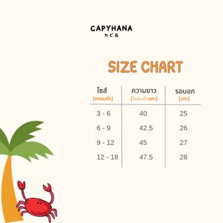 CAPHANA ชุดบอดี้สูทเด็กทารก ทารก ชุดไปทะเลเด็ก ชุดเซ็ทเด็ก (ปู)