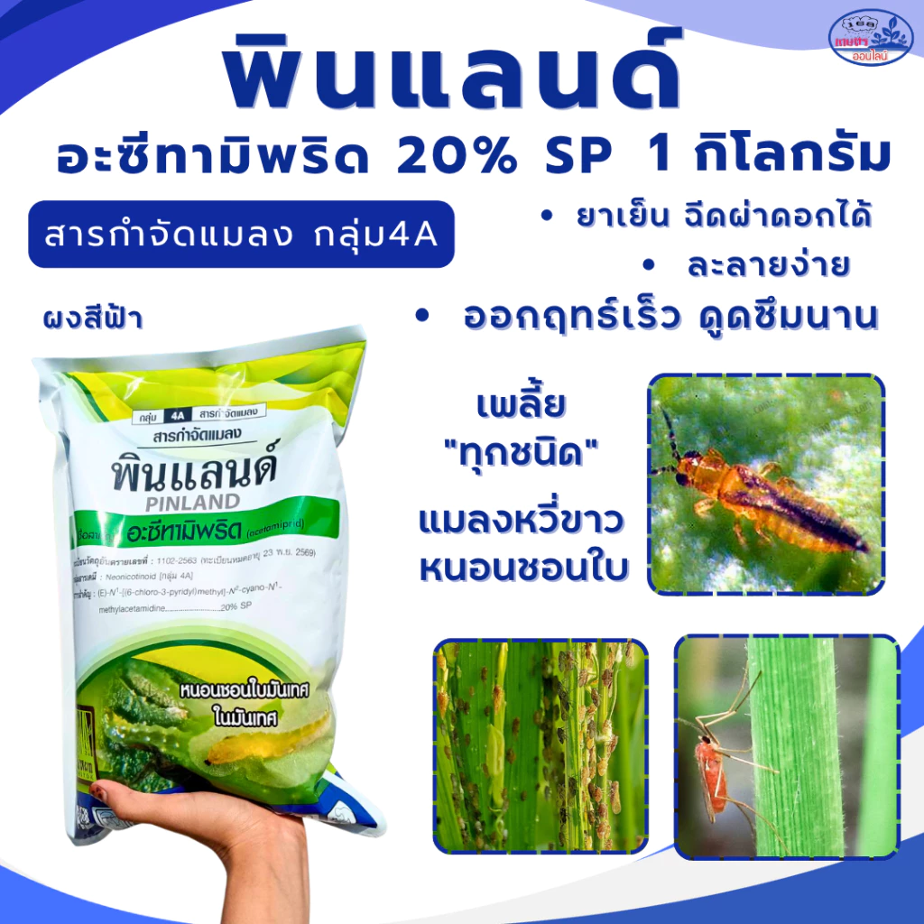 (ผงสีฟ้า) อะซีทามิพริด 20% SP พินแลนด์ ขนาด 1 กิโลกรัม สารกำจัดศัตรูพืช เพลี้ยและแมลง บั่ว เพลี้ยทุกชนิด