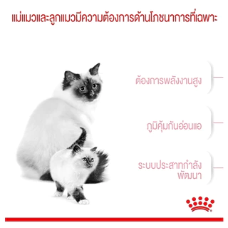 Royal Canin Mother & Baby cat 2 kg. (อาหารเม็ดสำหรับลูกแมวช่วงหย่านม 1- 4เดือนและแมวระยะตั้งท้อง)