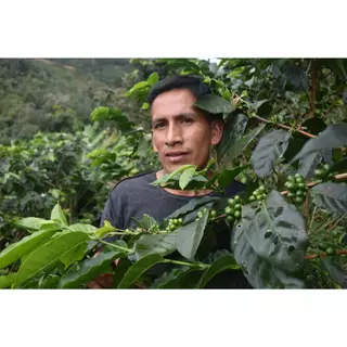 ANNIE - Peru Ayuri Geisha Washed คั่วอ่อน