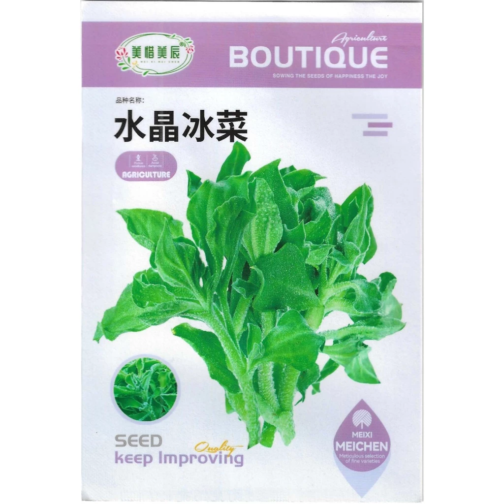 เมล็ดไอซ์แพลนท์ 1,000 / 2,000 เมล็ด Ice plant / Crystalline Iceplant