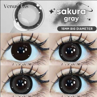 **ส่งของทุกวัน** คอนแทคเลนส์ตาโตสีเทา sakura gray บิ๊กอาย เล…