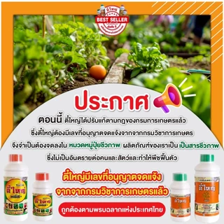 กำจัดเพลี้ยไฟไรแดง ตี๋ใหญ่ 500 cc