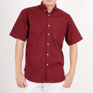 PHASHII SHIRT เสื้อเชิ้ตผู้ชายแขนสั้น สีพื้น ผ้า COTTON OXFORD ใส่สบาย เนื้อผ้านุ่ม ขายดีมาก!