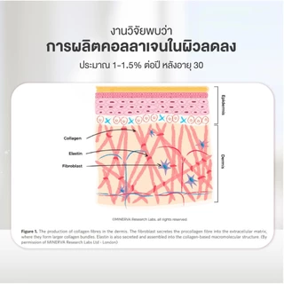 CHAME' Collagen Dipeptide Complex คอลลาเจนไดเปปไทด์ จากญี่ปุ่น 15,000 mg. แอสต้าแซนธิน ช่วยลดเลือนริ้วรอย