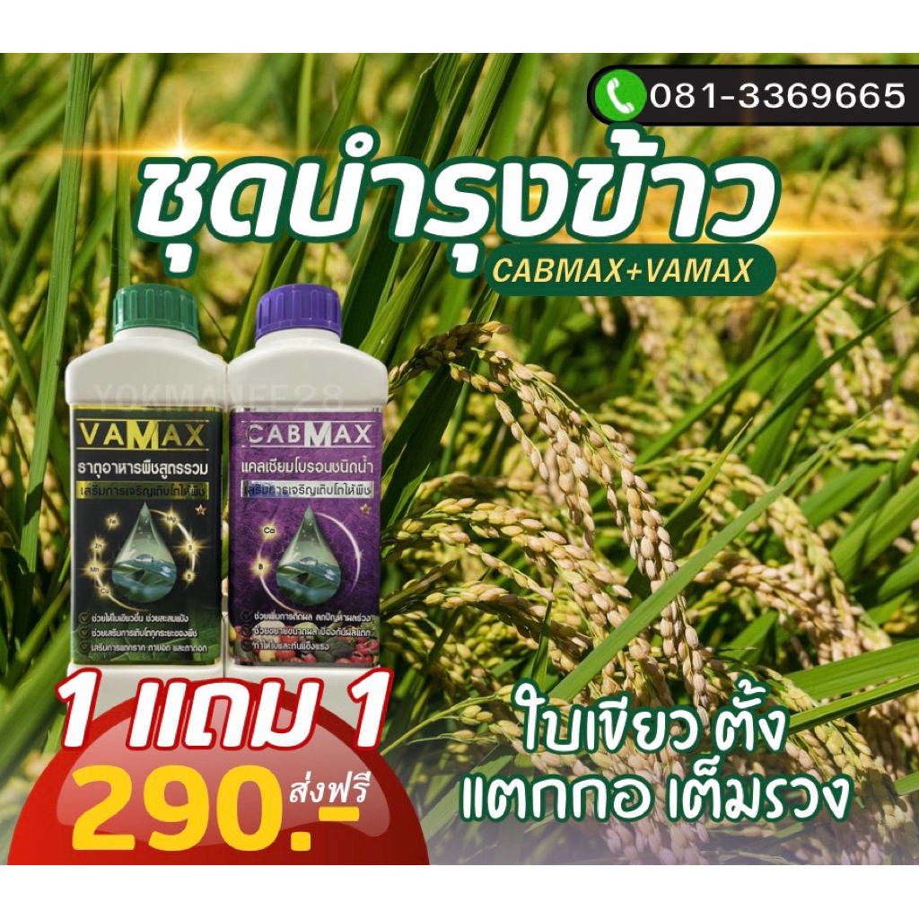 ปุ๋ยน้ำ 1 แถม 1 cabmxa+vamax