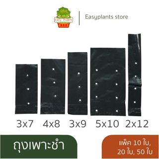 ถุงเพาะชำสีดำ กล้าไม้ ปักชำ ถุงดำเพาะต้นไม้ ตอนกิ่ง ต้นอ่อน …