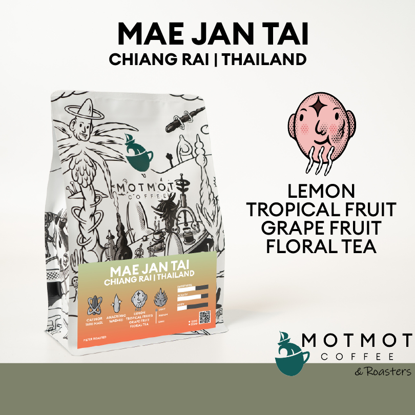 Mae Jan Tai Chiang-Rai Thailand (Anaerobic Washed & Natural) | กาแฟ แม่จันใต้ เมล็ดกาแฟคั่ว MOTMOT COFFEE รูปที่ 2