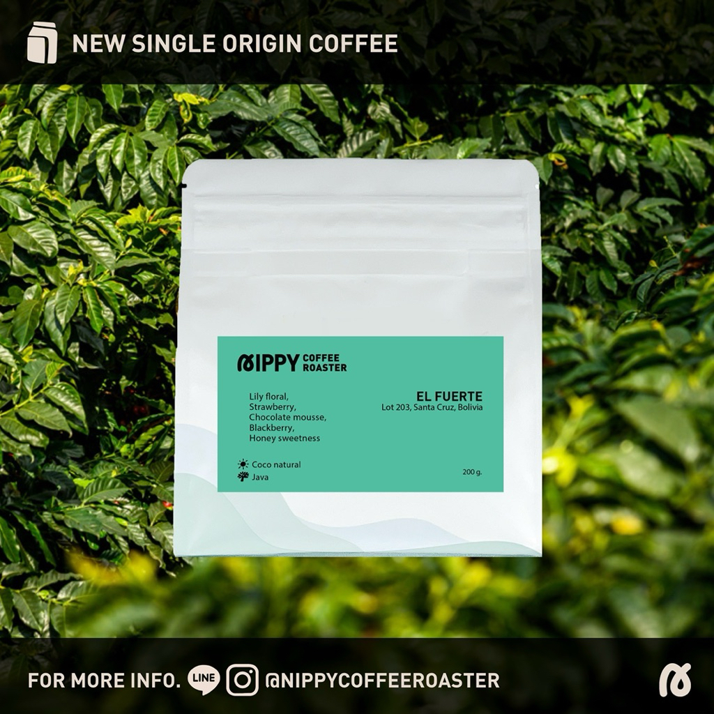 Nippy Coffee Roaster เมล็ดกาแฟคั่ว Bolivia EL Fuerte Java Coco Natural