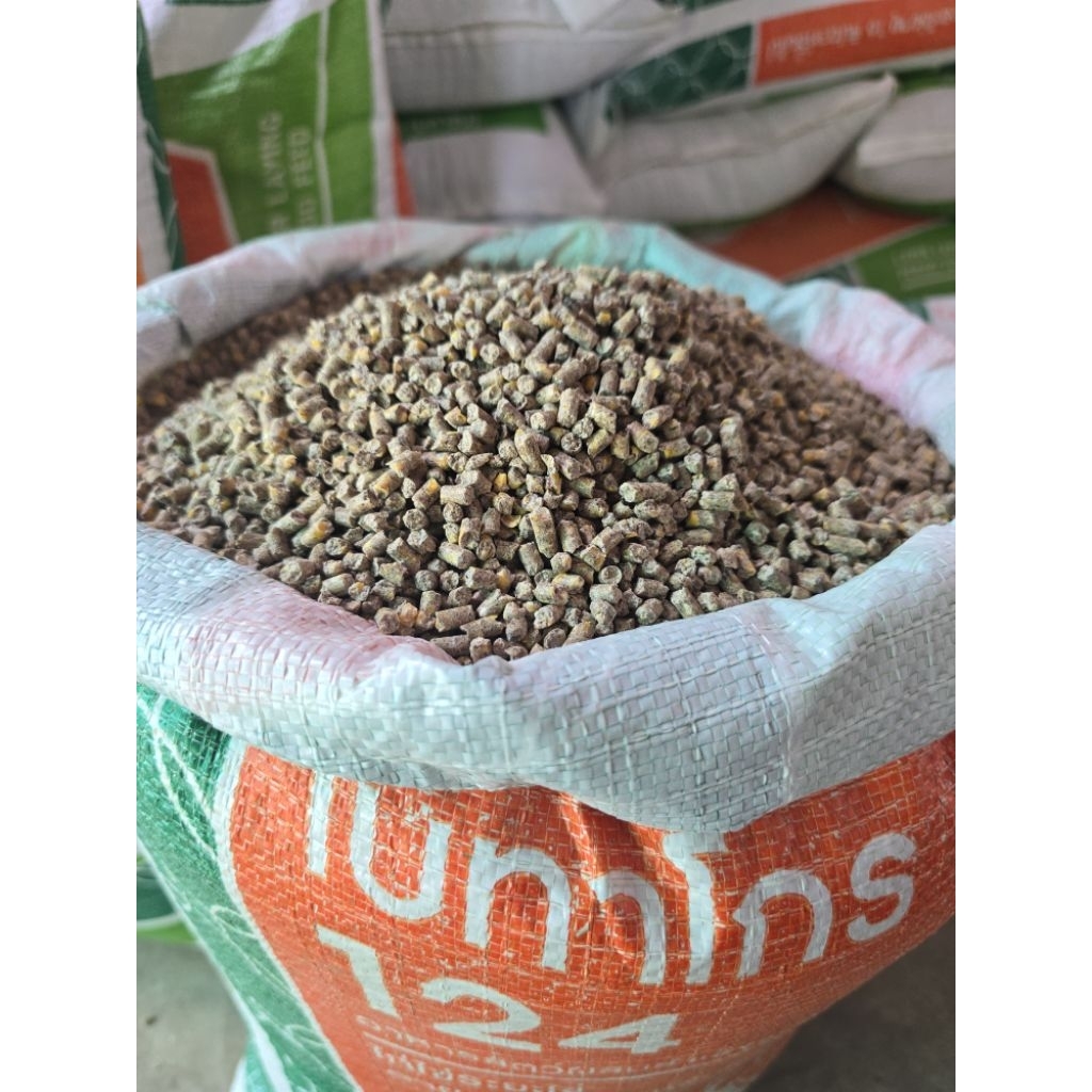 อาหารไก่ไข่เบทาโกร124 | 5 กิโลกรัม แบ่งขาย พร้อมส่ง