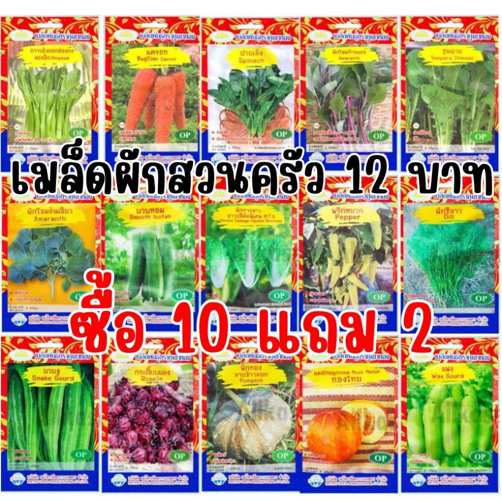 เมล็ดพันธุ์ ผักสวนครัว ภูเขาทอง OP ซื้อ 10 แถม 2 จัดส่งทุกวัน