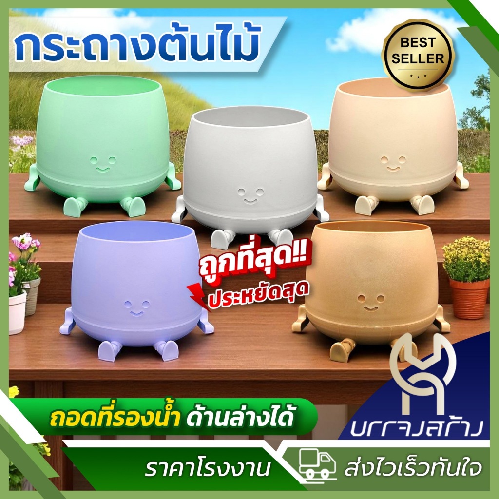 กระถางต้นไม้ หนูยิ้ม มินิมอล Introvert ฐานใช้เก็บน้ำได้ น่ารัก ไม้กราฟ แคตตัส โมเดิร์น ปลูกต้นไม้