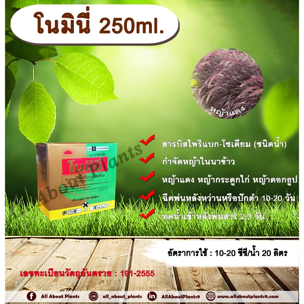 โนมินี่ + ซันบินเดอร์ 250ml. + 250ml. บิสไพริแบกโซเดียม สารกำจัดวัชพืช กำจัดหญ้า ในนาข้าว กำจัดหญ้าแดง หญ้ากระดูกไก่