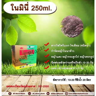 โนมินี่ + ซันบินเดอร์ 250ml. + 250ml. บิสไพริแบกโซเดียม สารกำจัดวัชพืช กำจัดหญ้า ในนาข้าว กำจัดหญ้าแดง หญ้ากระดูกไก่