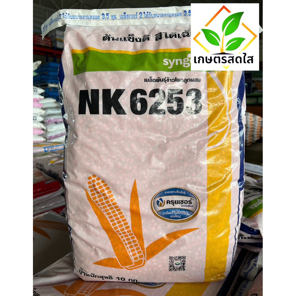 ข้าวโพด NK6253 ขนาด 10 กก. (3.5 หุน) ยืนต้นดี สีได้เนื้อ รากและต้นแข็ง ยืนต้นนาน ขนาดฝักสม่ำเสมอ