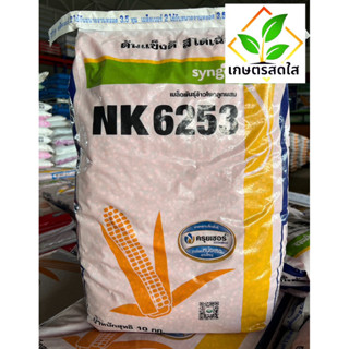 ข้าวโพด NK 6253 ขนาด 10 กก. (3 หุน และ 3.5 หุน) ยืนต้นดี สีไ…