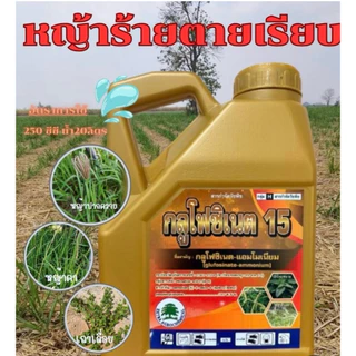 กลูโฟซิเนตแอมโมเนียม15*น้ำเขียว* (แกลอนสีทอง4ลิตร)