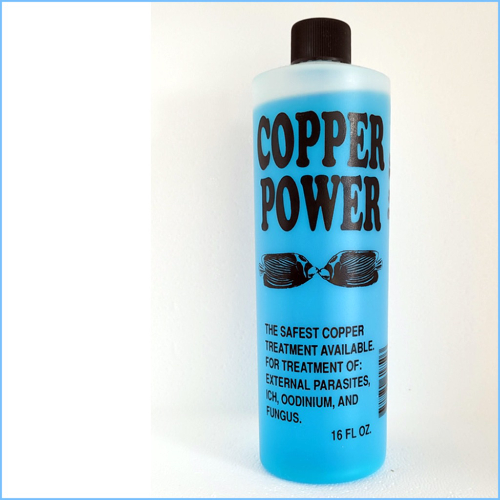 Copper Power จุดขาวและออดิเนียมในปลาทะเล
