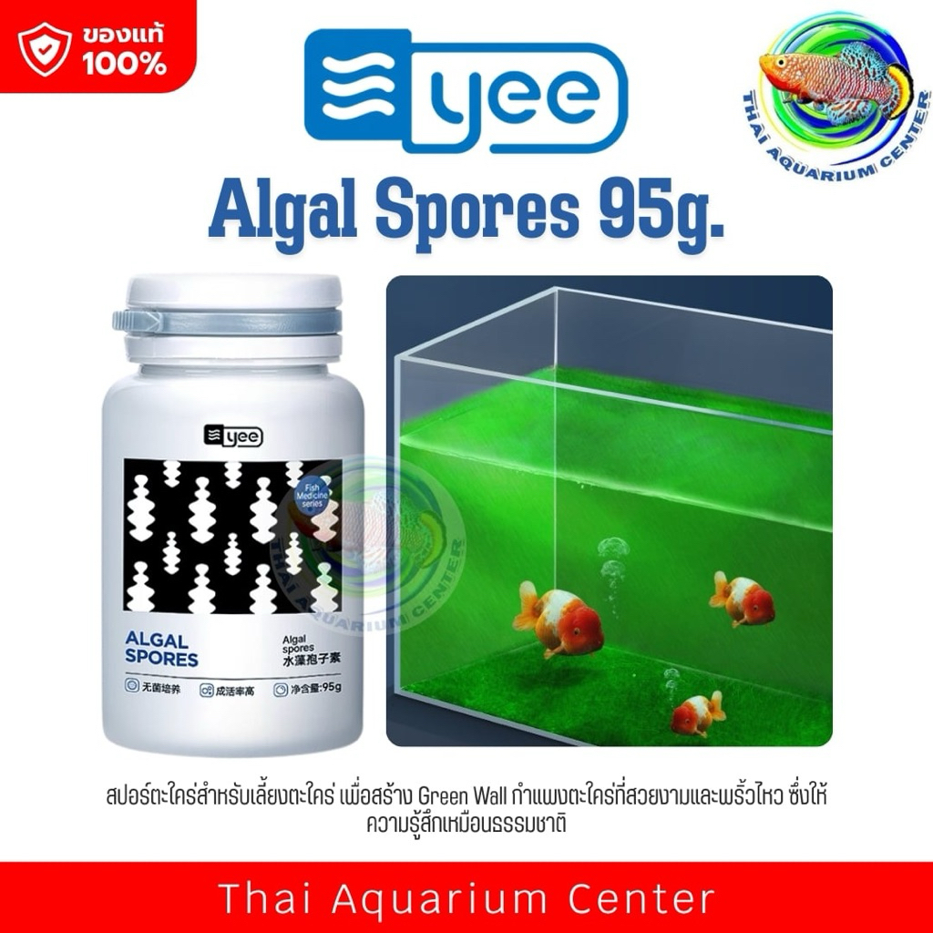 YEE Algal Spores ผงสปอร์สาหร่ายน้ำจืด ปลูกพรมเขียวในตู้ปลาได้ใน 30 วัน